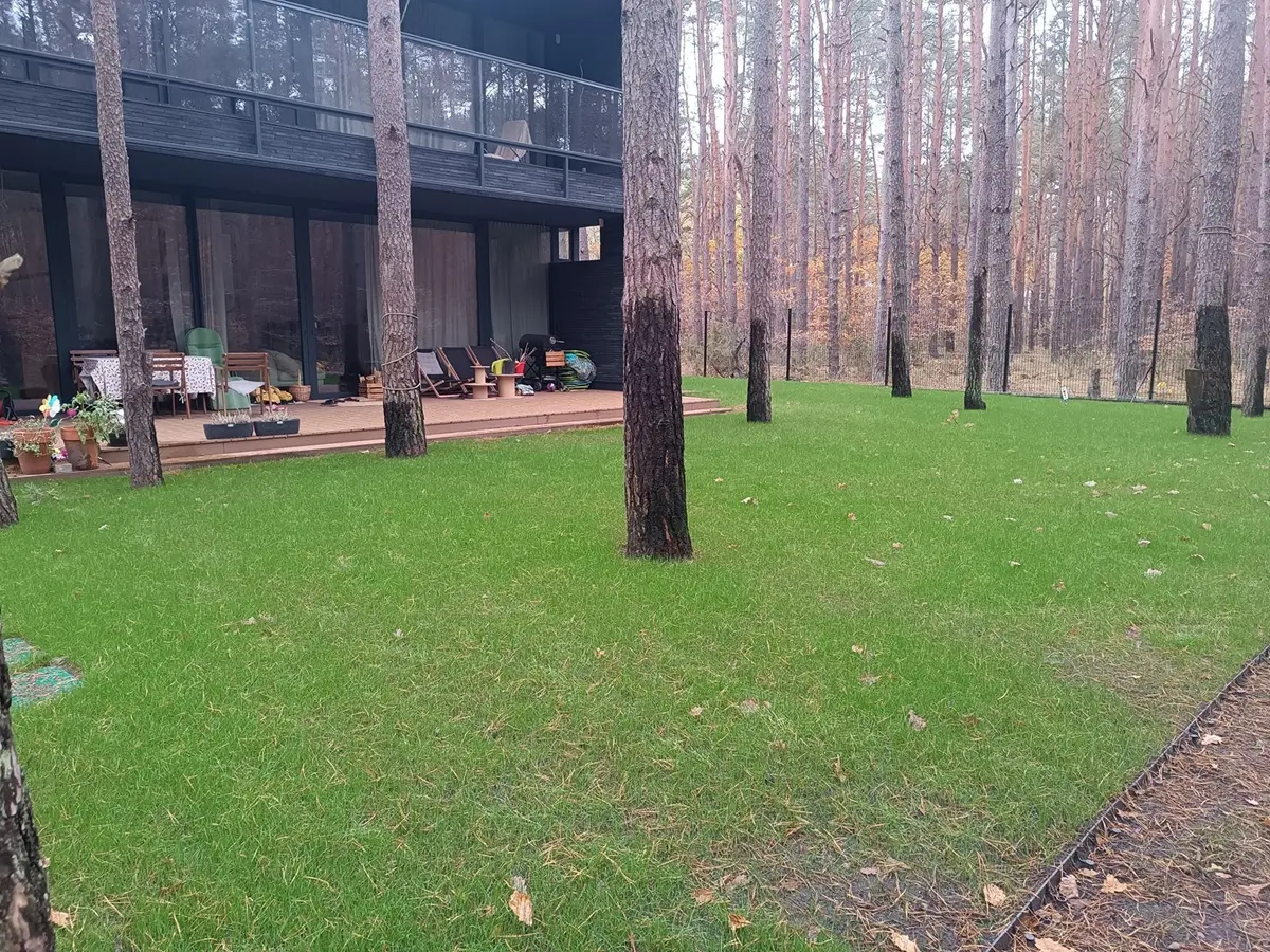 Efekty po instalacji systemu nawadniania ogrodu na prywatnej posesji w trenach leśnych